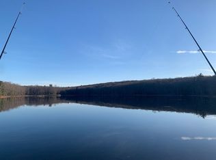 141 Constitution Dr, Lackawaxen, PA 18435