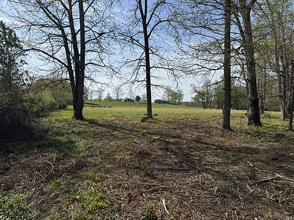 2nd image of 0 Bob Meadows Rd