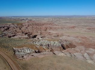 Witch Wells Petrified Frst, Petrified Forest Natl Pk, AZ 86028