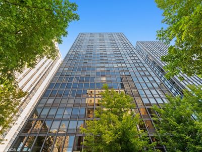 910 N Lake Shore Dr APT 516, Chicago, IL, 60610