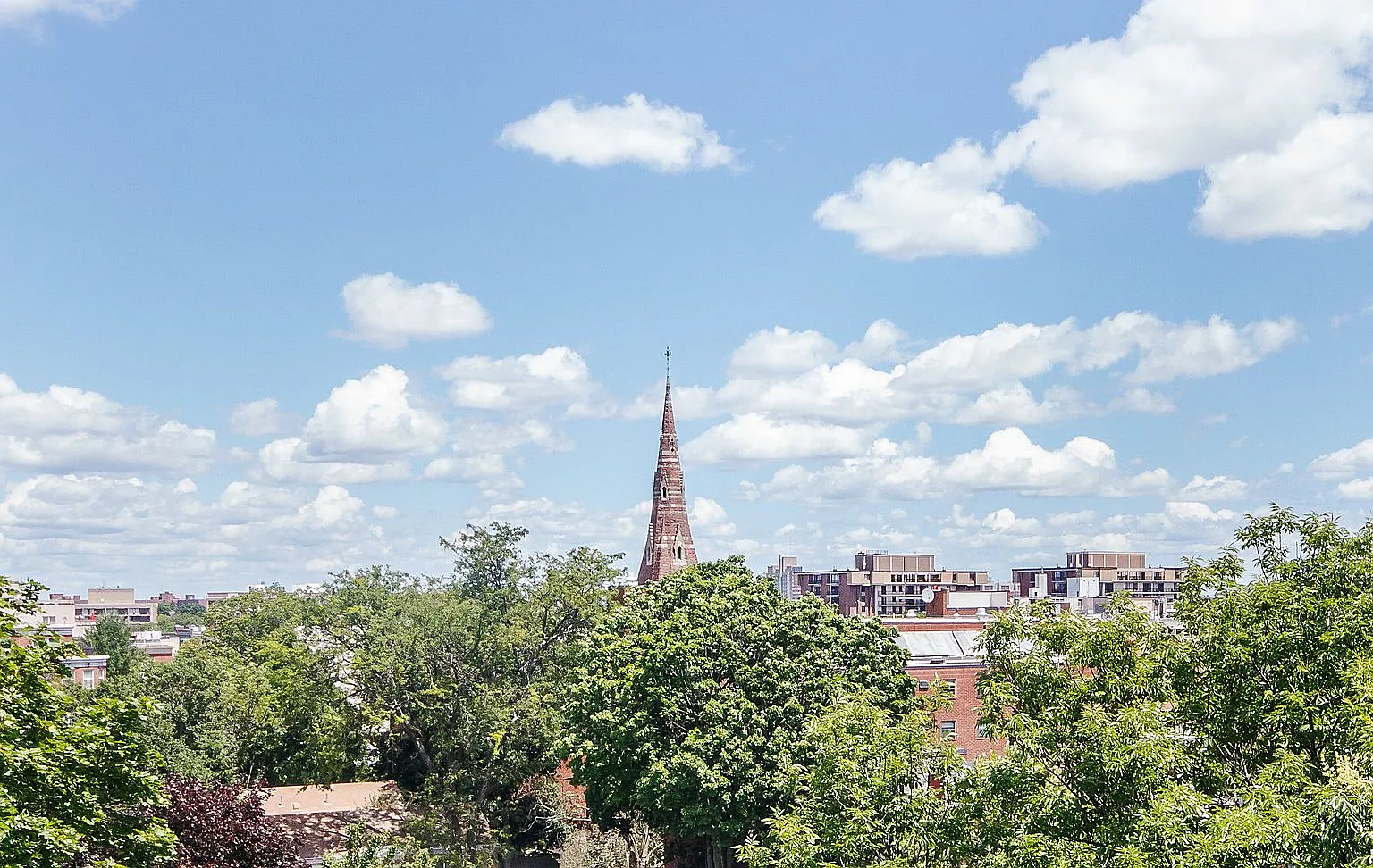 Large 1 bed in Brookline — Photo 4