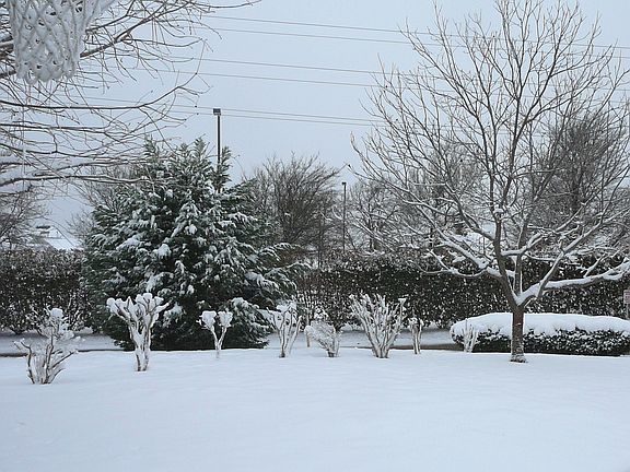 5th image of 5403 Wellington Dr