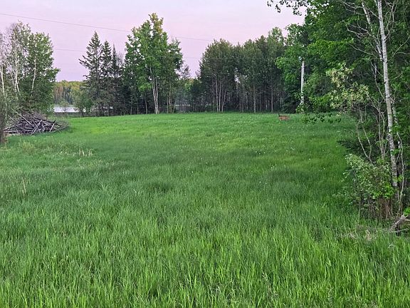 5th image of 38093 County Road 45