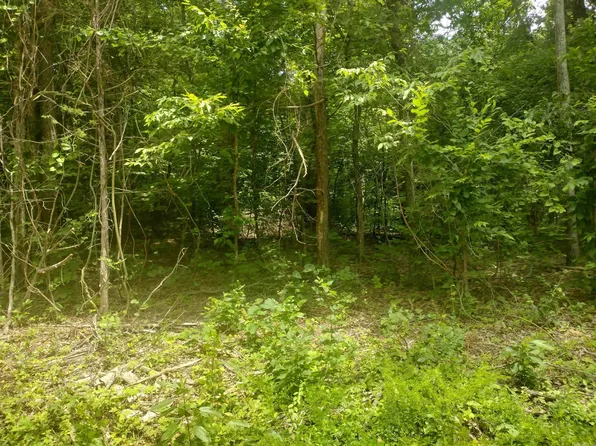 0 McIntire Ln, Mountain View, AR 72560