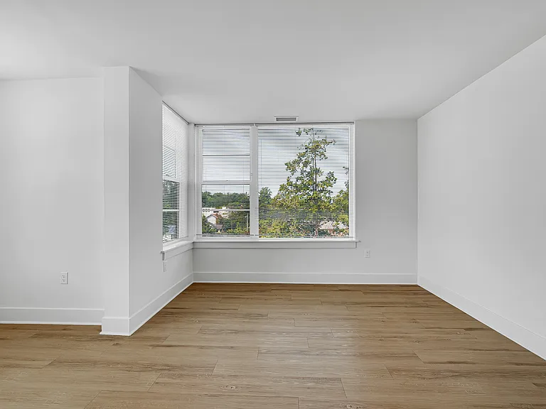 Beech Tree Place Apartments — Photo 5