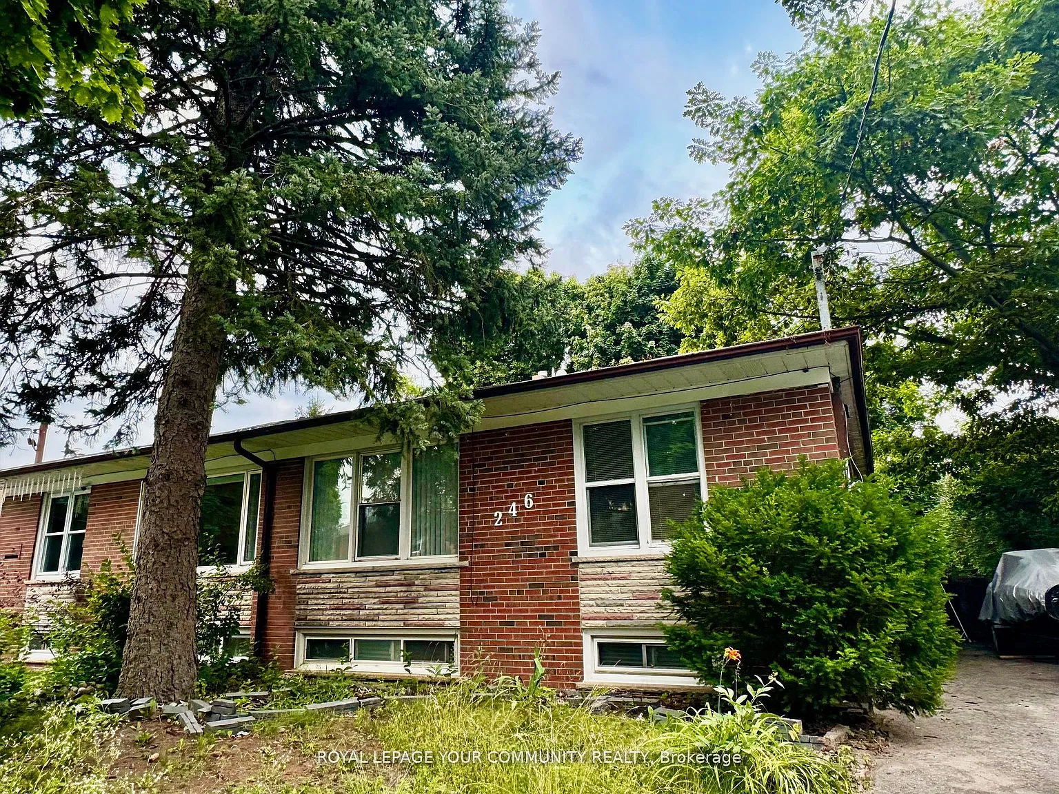 1 bed, $1,300 — Photo 1