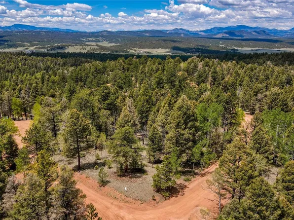 n/a Juniper Circle, Florissant, CO 80816