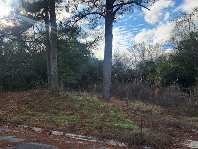 2573 Peacock St, Macon, GA, 31206