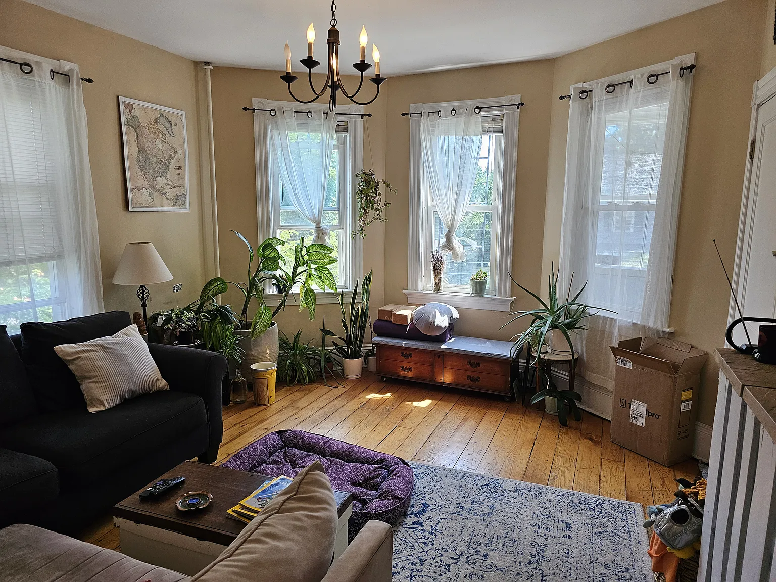 2 bed, 1000 sqft, $2,200 — Photo 3