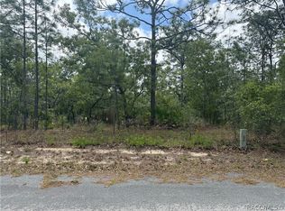 7 Drypetes Ct W, Homosassa, FL 34446