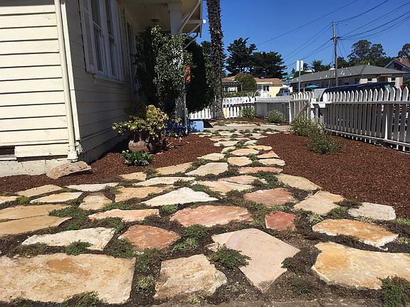 Newly landscaped front and side yards