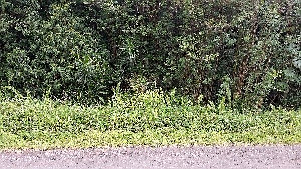 1st image of Railrd Rd