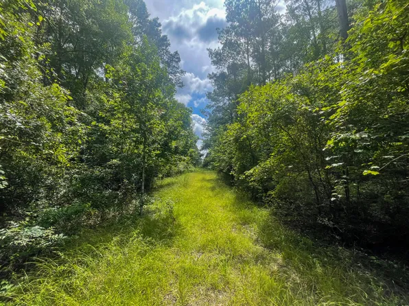 40 Deer Meadow Rd, Sumrall, MS 39482