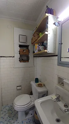 Rented by Brooklyn Properties | media 32