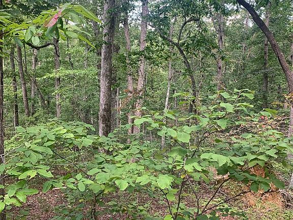 2nd image of 0 Wild Acres Rd Lot 3