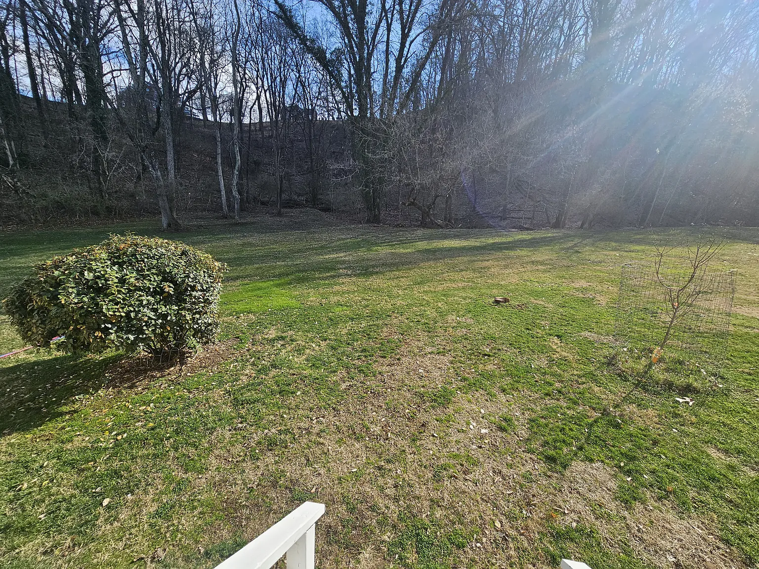 2 bed, 1200 sqft, $1,300 — Photo 2