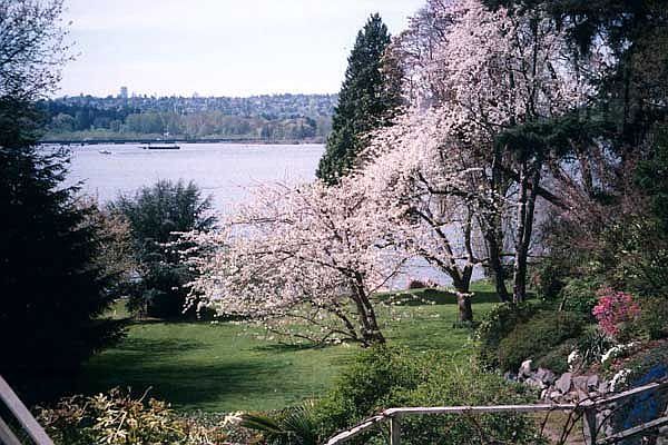 View from deck