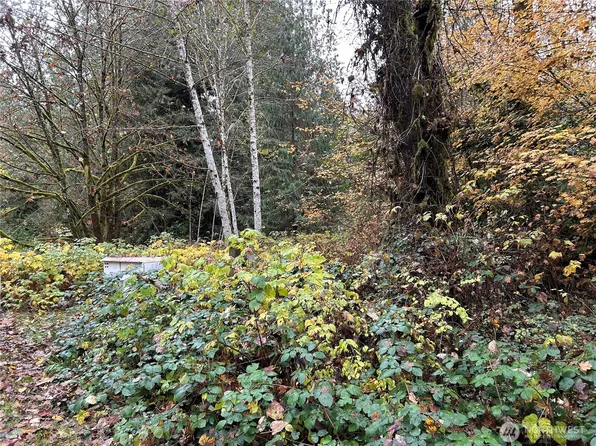 54165 Steelhead Landing Road, Concrete, WA 98237