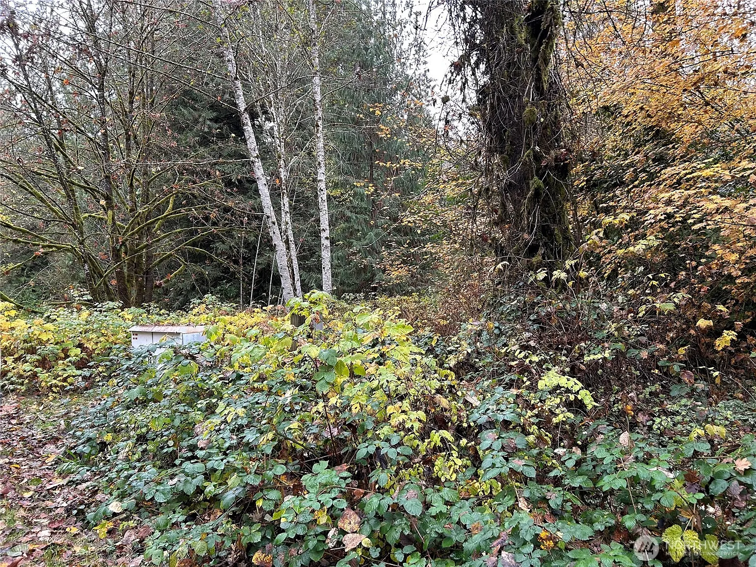 54165 Steelhead Landing Road photo 1