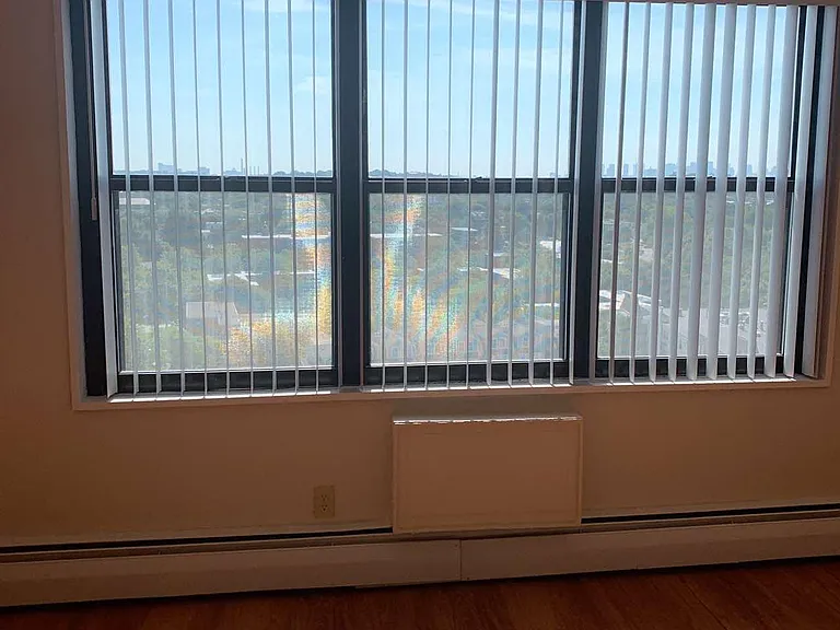 what a view from the living room window