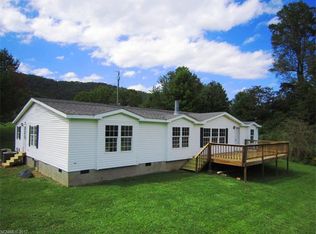 169 Beaverdam Loop Rd, Candler, NC 28715