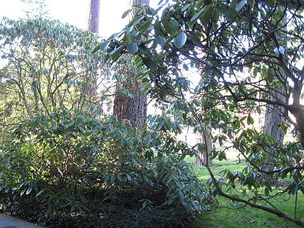 A view from the front door