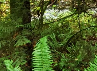 71 Ridge Ct, Brinnon, WA 98320