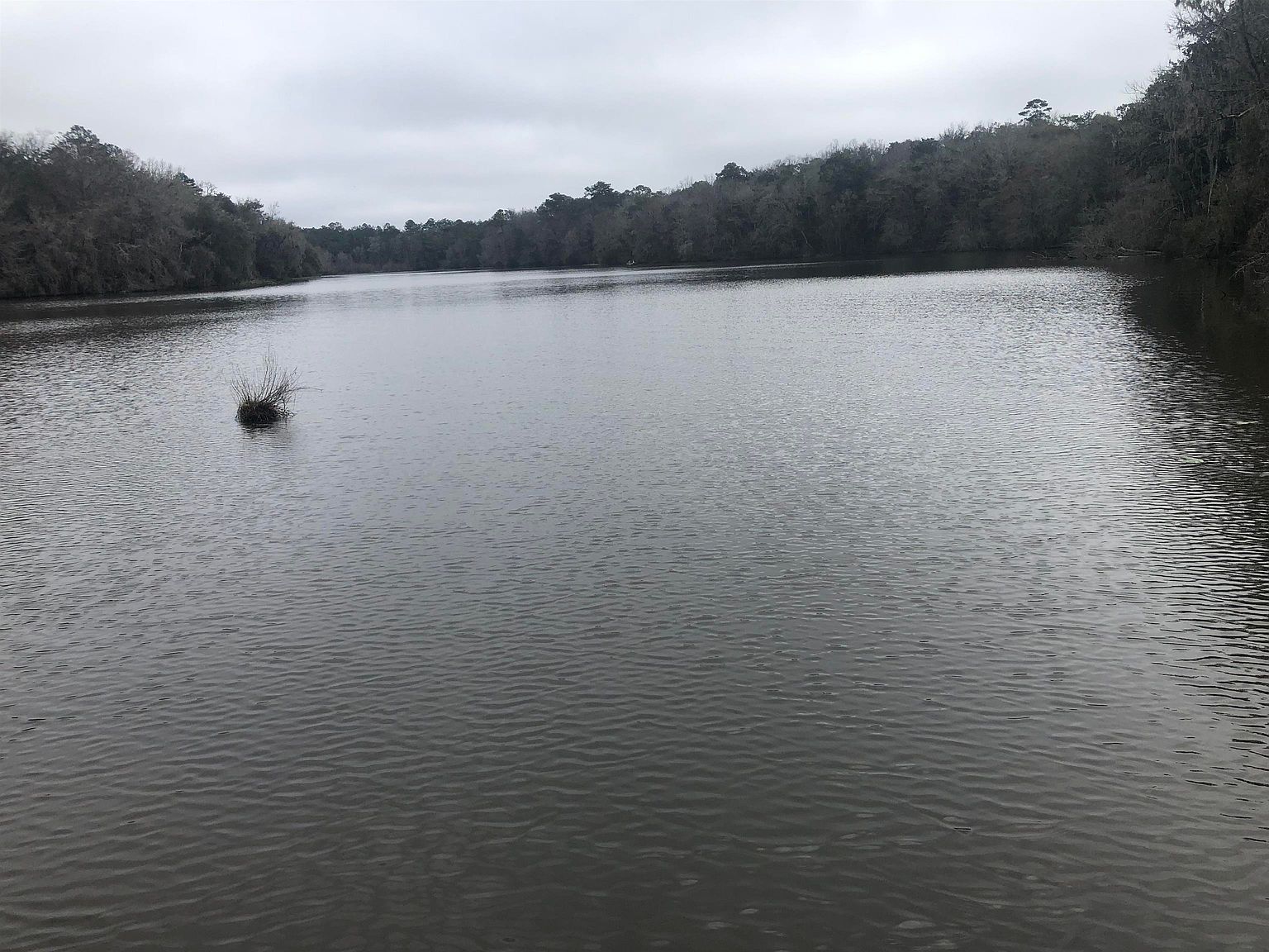 18055 Rakestraw Dr, Tallahassee, FL 32310 MLS 355165 Zillow