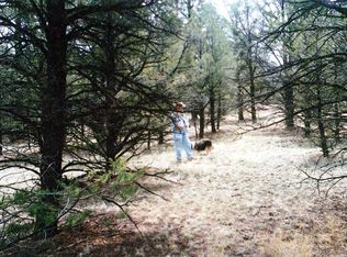 07 Paradise Loop, Quemado, NM 87829