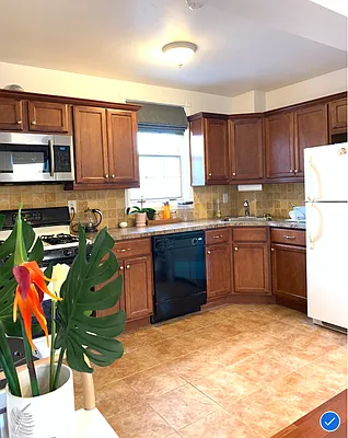 Rented by Gama Group | media 11