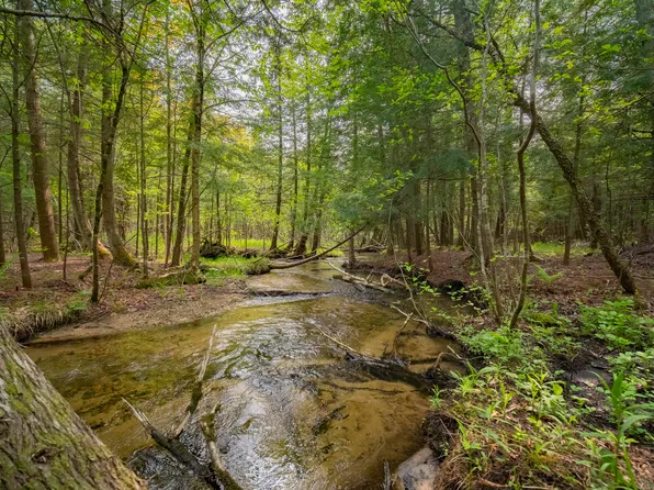 Carter Creek Rd, Beulah, MI 49617