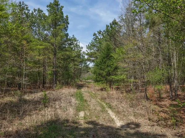 Fm 195, Bagwell, TX 75412