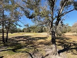 3505 Tarpon Woods Blvd #J408 — Photo 22