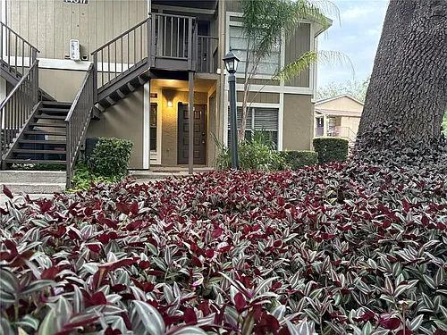 14317 Hanging Moss Cir #101 Photo 1