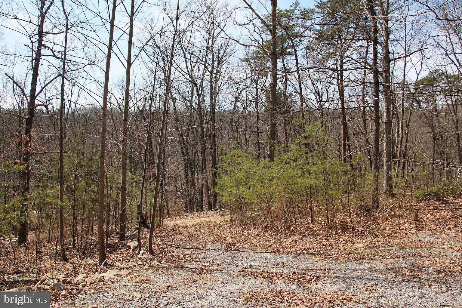 Ridge Rd photo 1