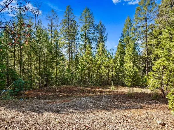 12429 New Brunswick Ct, Grass Valley, CA 95945