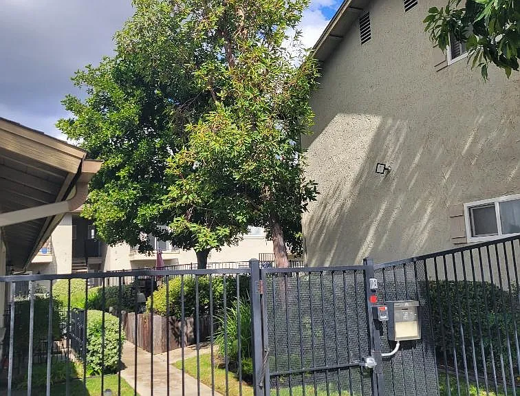 1490 Naranca Ave #6 — Photo 21