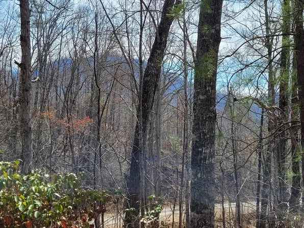 14 Flaming Ridge Dr, Hayesville, NC 28904