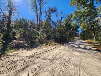 163 She She Rd #6, Hawthorne, FL, 32640