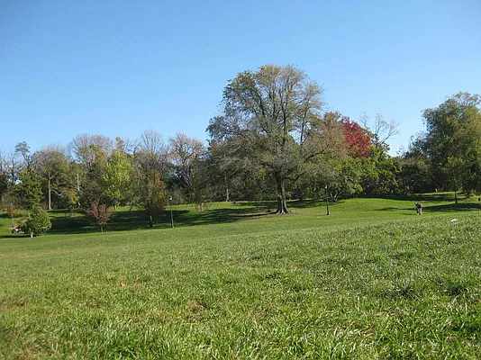 Rented by Empire Valley | media 27