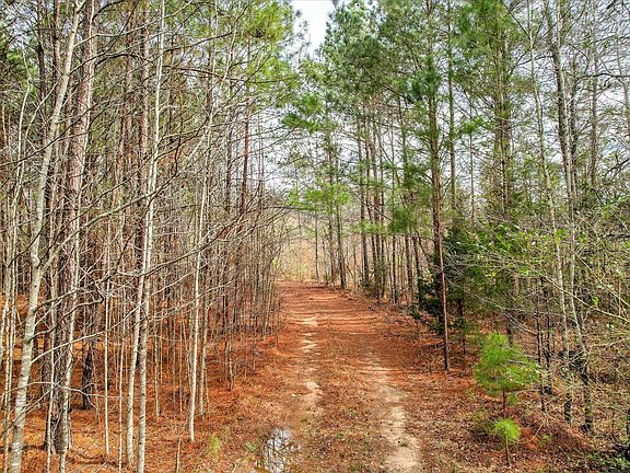 2nd image of 0 Appling Harlem Road