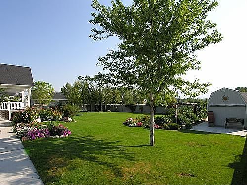 Professional Landscaping