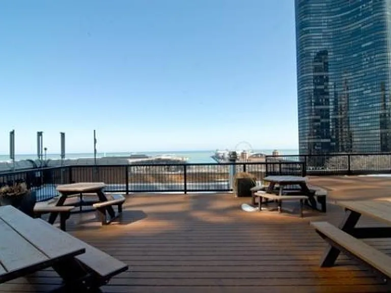 540 N Lake Shore Dr #206 — Photo 11