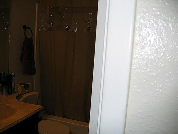 Bath Shower, Tub combo.