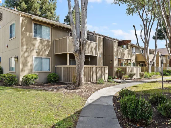3291 Foxtail Ter, Fremont, CA 94536
