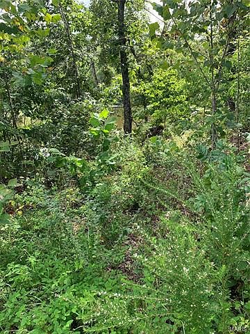 2nd image of 16150 Creek Rd