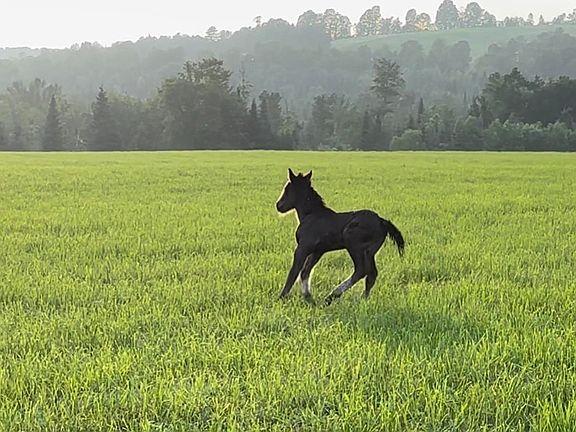 2nd image of 254 Airport Road