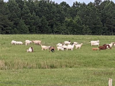 1041 Welcome Church Rd, Elberton, GA, 30635