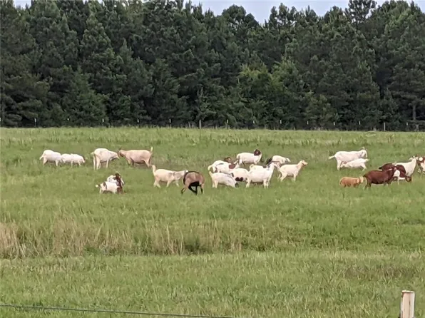 1041 Welcome Church Rd, Elberton, GA 30635