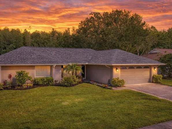 15110 Naturewalk Dr, Tampa, FL 33624